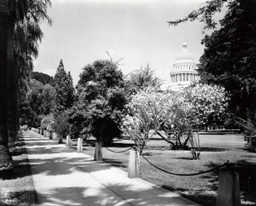 Image of State Capitol with surrounding chain fence, anchored to cement posts line the sidewalk around the grounds