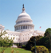 U.S. Capitol, Washington, D.C.